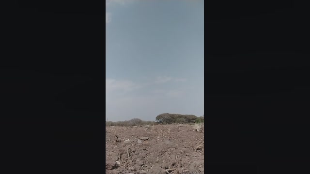 Elpeladoxxx2  08-09-2022